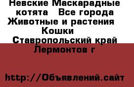 Невские Маскарадные котята - Все города Животные и растения » Кошки   . Ставропольский край,Лермонтов г.